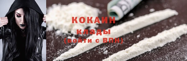 дмт Арсеньев