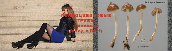 эйфоретик Пересвет