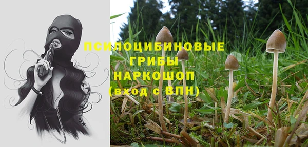 дмт Арсеньев