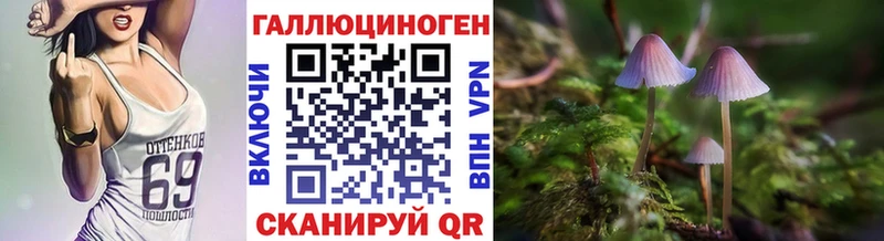 Галлюциногенные грибы Psilocybe  Певек 